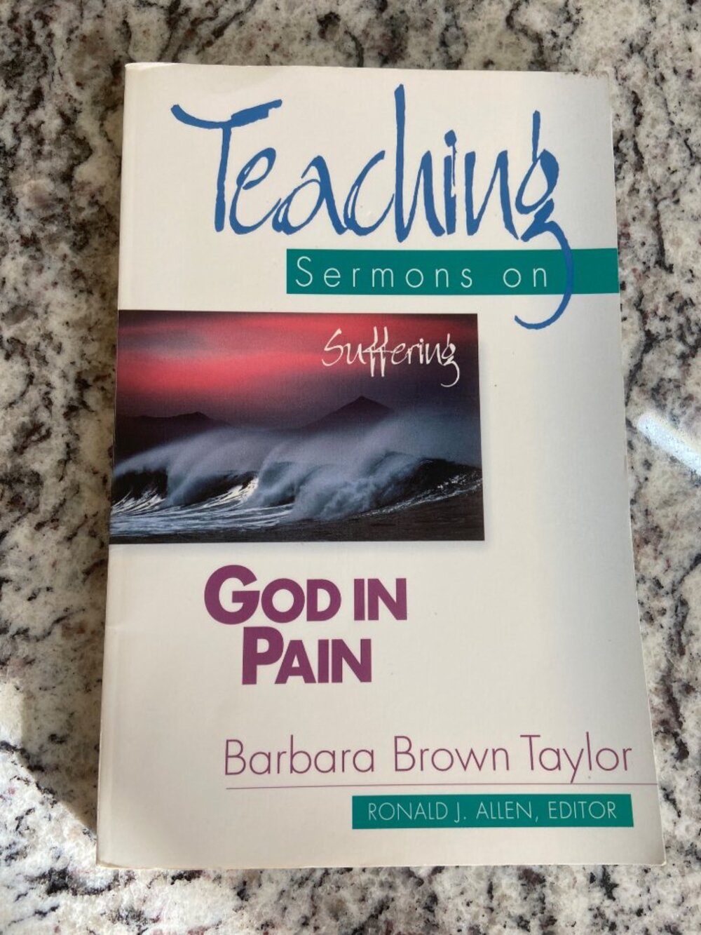 God in Pain Barbara Brown Taylor PB 1998 Christian Theology Sermons Suffering